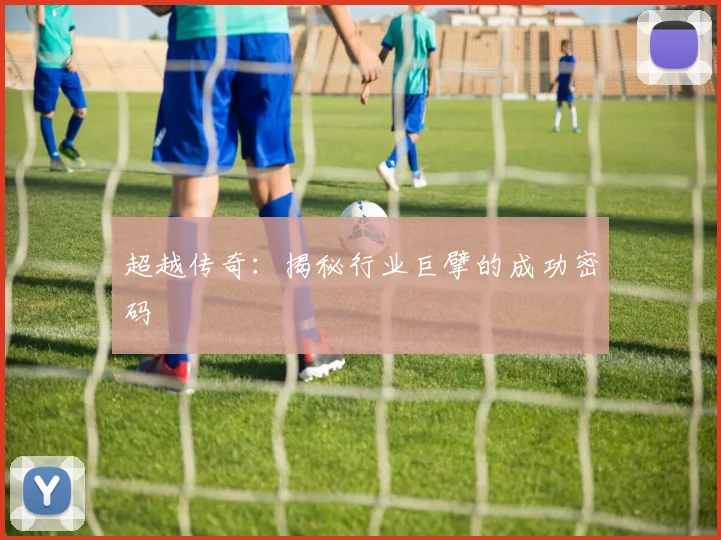 超越传奇：揭秘行业巨擘的成功密码